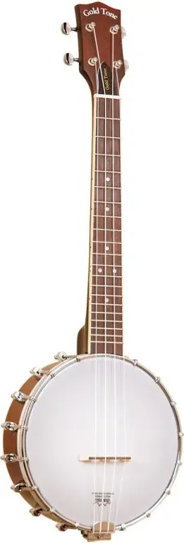 4-Saiter Tenor Banjo-Ukulele mit Case