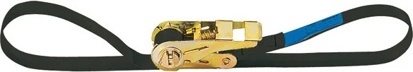 Adam Hall Accessories SR 254 Zurrgurt mit Druckratsche 25 mm – 4,0 m