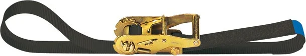 Adam Hall Accessories SR 352 Zurrgurt mit Druckratsche 35 mm – 2,0 m