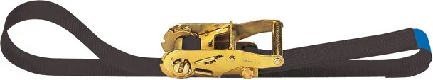 Adam Hall Accessories SR 356 Zurrgurt mit Druckratsche 35 mm – 6,0 m