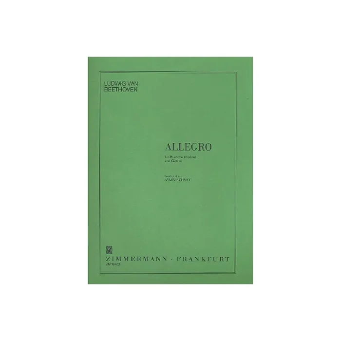 Allegro für Viola (Violine)