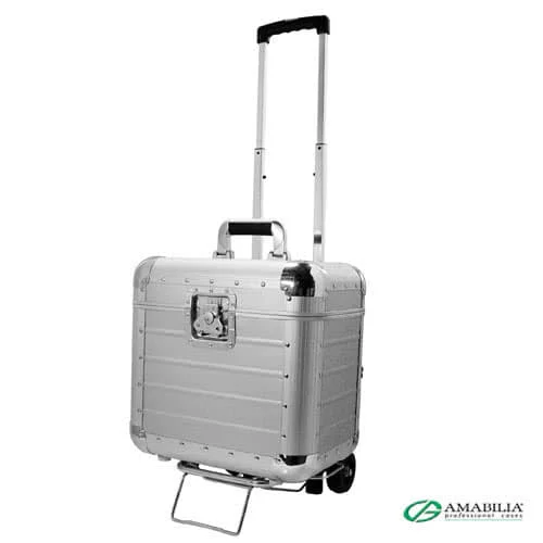 Amabilia P80 Soft Standard Trolley Case