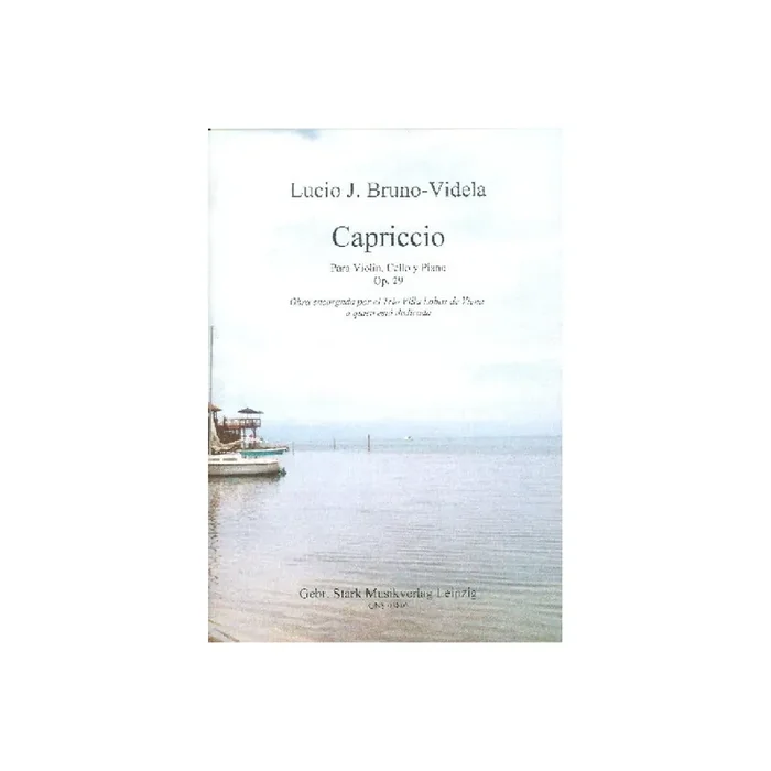 Capriccio op.29