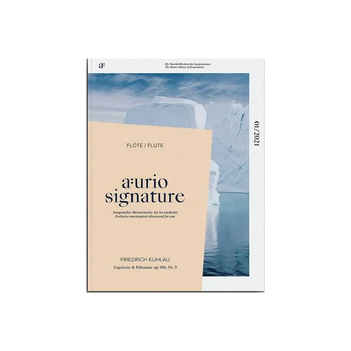 Capriccio und Polonaise op.10b Nr.3