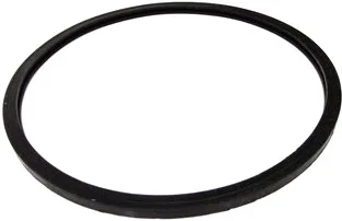 Dichtungsring 167mm IP PAR 12x12W HCL