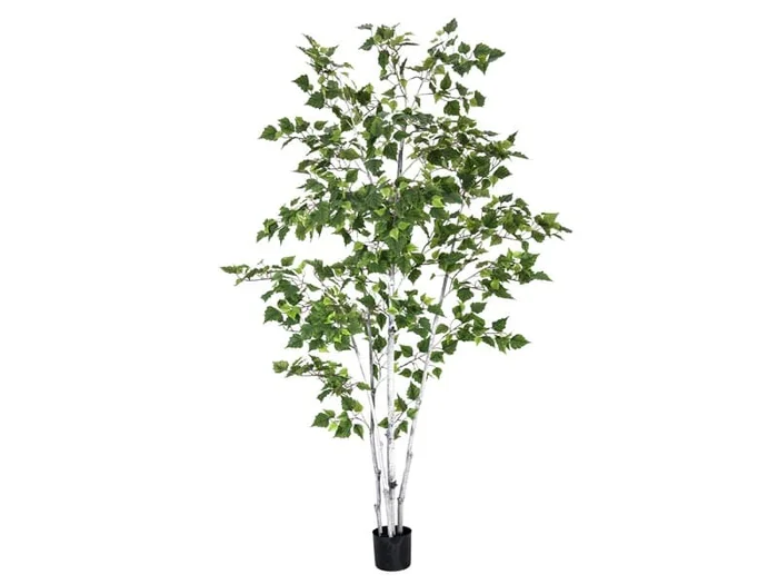 Europalms Birkenbaum im Gärtnertopf, 210cm, Kunstbaum, 1102 Blätter