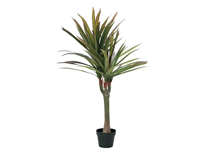 EUROPALMS Dracena, Kunstpflanze, 120cm