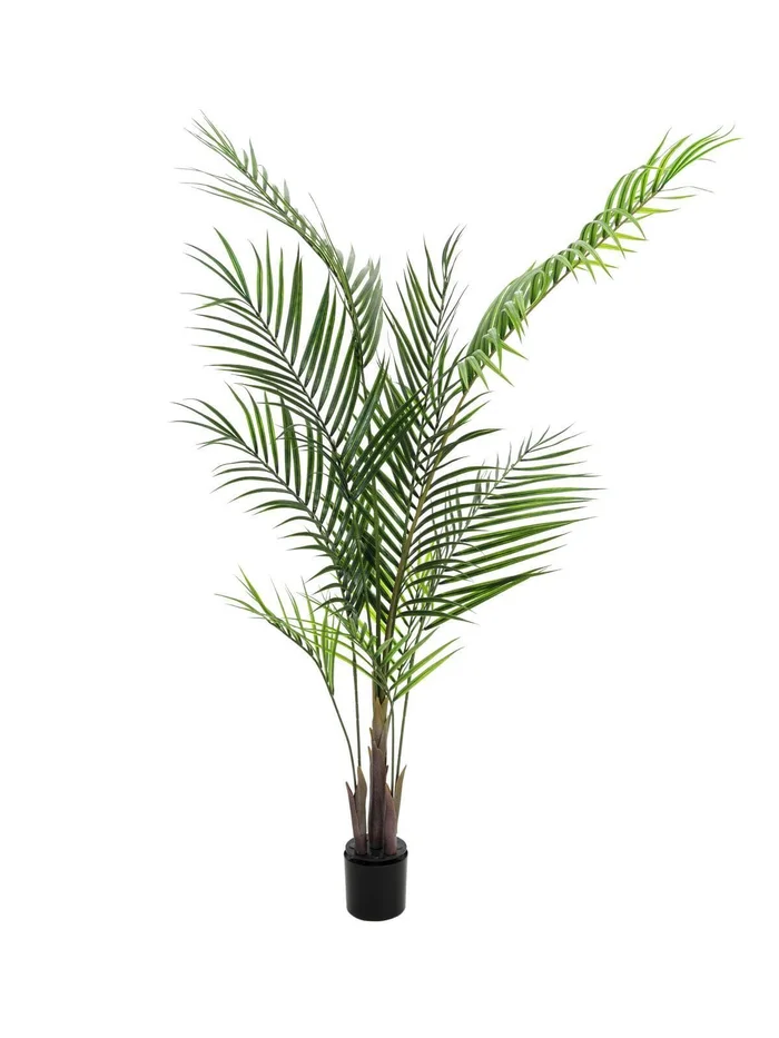 Europalms Großblatt-Areca, 165cm – Kunstpflanze