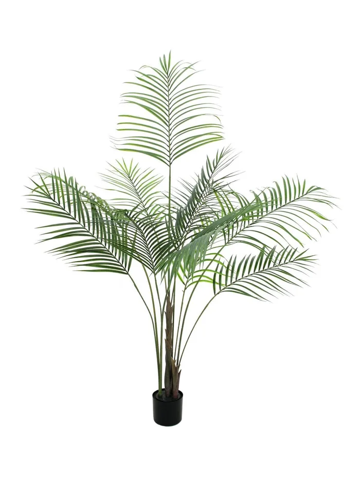 Europalms Großblatt-Areca, 185cm – Kunstpflanze