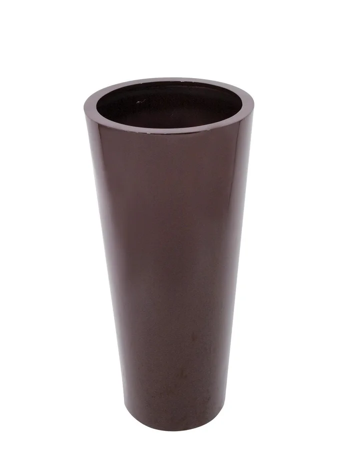 EUROPALMS LEICHTSIN ELEGANCE-110, braun, glänzend