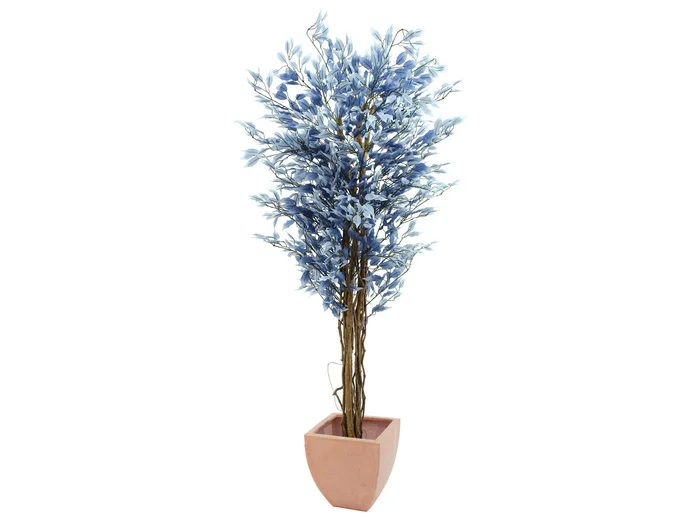 Ficus-Benjamini Multi-Stamm, blau, 180cm -Demoware-