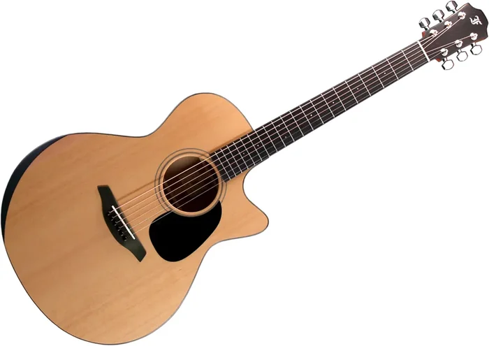 Furch Blue Deluxe Gc-CM Westerngitarre Grand Auditorium