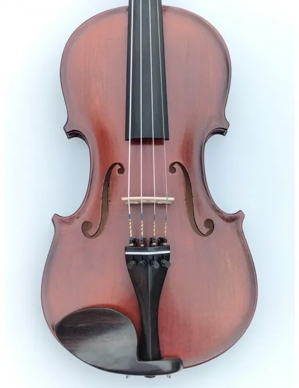 GLIGA GEMS I violín 4/4 acabado antiguo especial montado Luthier Luthier