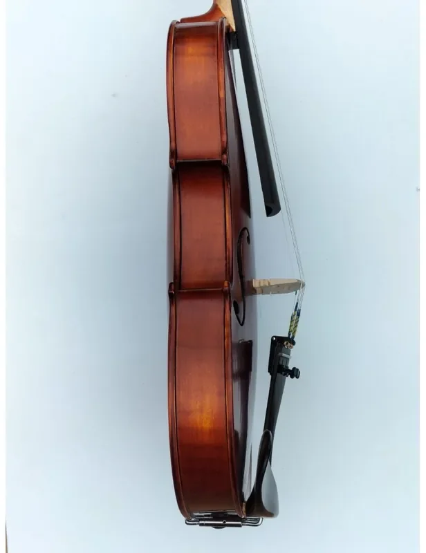 GLIGA GEMS I violín 4/4 fondo 1 pieza montado Luthier