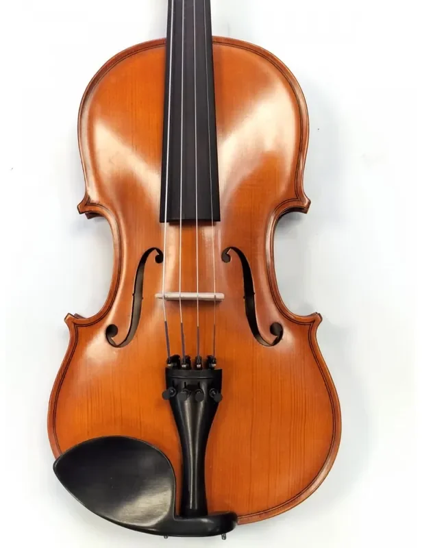 GLIGA GENIAL I violín 4/4