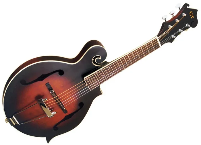 Gold Tone F-6 Mando Gitarre