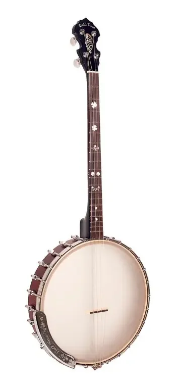 Irisches Tenor-Banjo mit 19 Bünden und inklusive Tasche