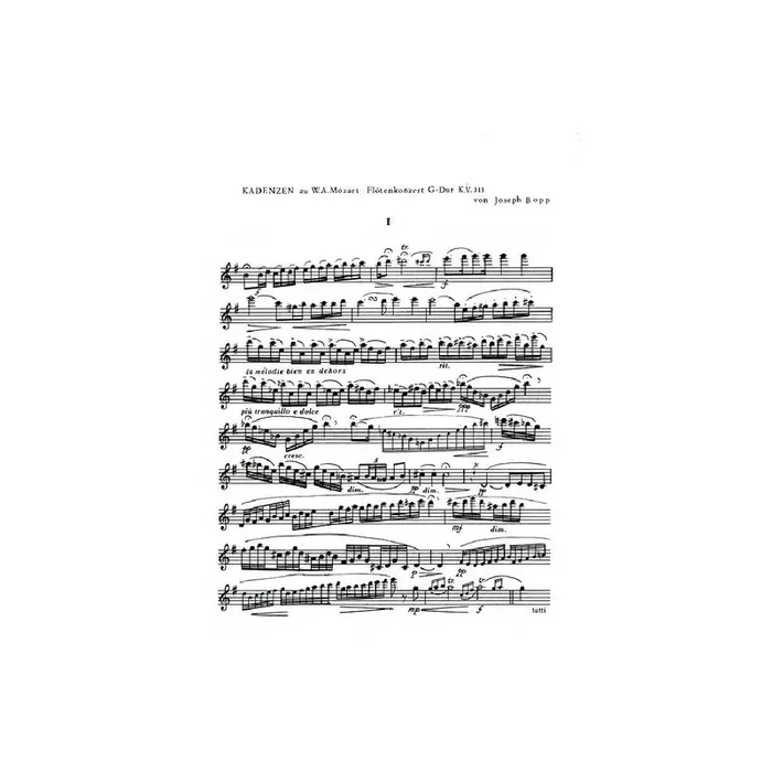 Kadenzen zu Flötenkonzert G-Dur KV313