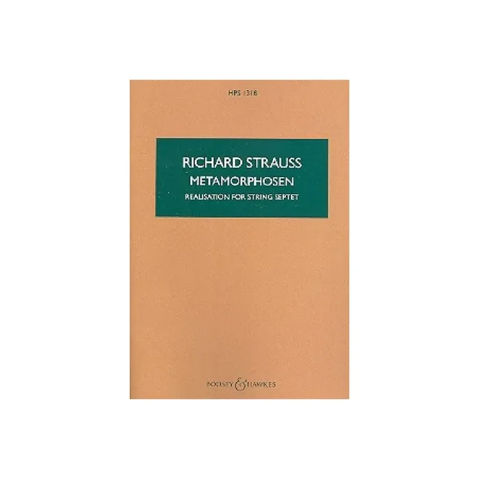 Metamorphosen Studie für 23 Solo-