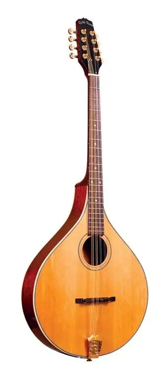 Oktaven-Mandoline mit Case