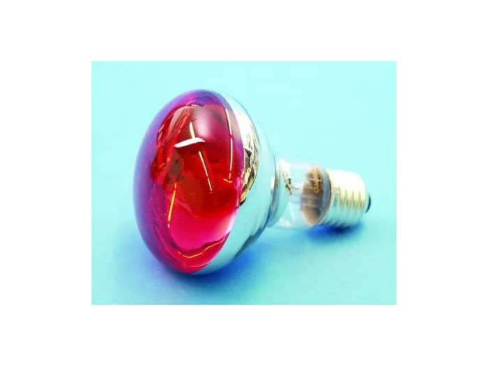 Reflektorlampe OMNILUX R80 230V/60W E-27 rot