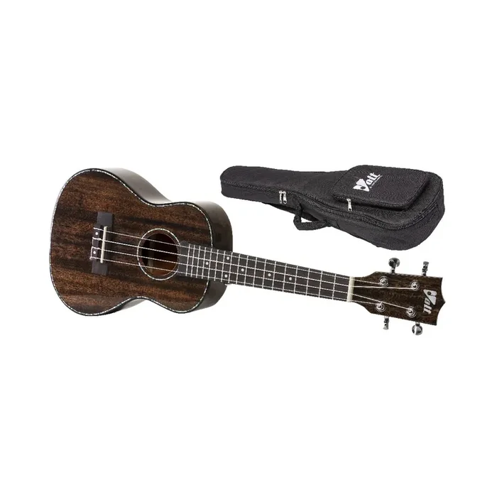 VOLT „Siena“ Concerto 24″