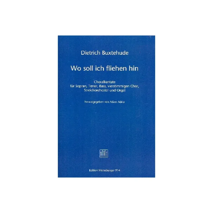 Wo soll ich fliehen hin