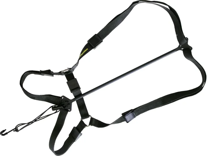 Zappatini Fagottgurt Synthesis Regular